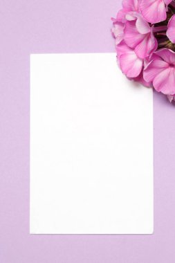 Kağıt beyaz levha ve Phlox çiçeklenme Lila arka planda yatıyor.