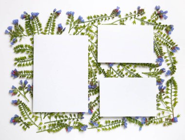 Çiçeklerden yapılmış çiçek çerçevesi Symphytum beyaz bir arka planda desen koydu.