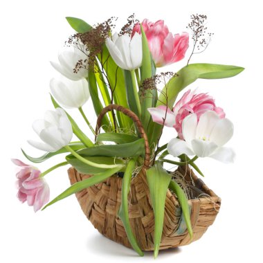 Beyaz arka planda izole bir sepet içinde lale bahar bileşimi.