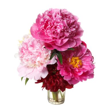 Beyaz arka planda izole şakayık güzel buket.