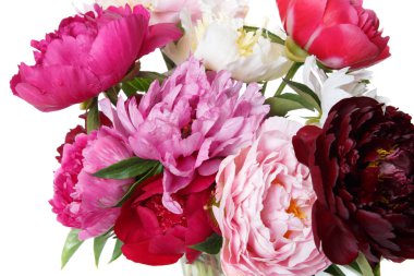 Beyaz arka planda izole şakayık bir buket parçası.