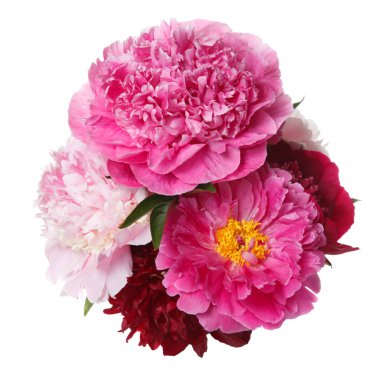 Beyaz arka planda izole şakayık güzel buket.