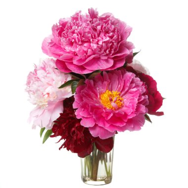 Beyaz arka planda izole şakayık güzel buket.