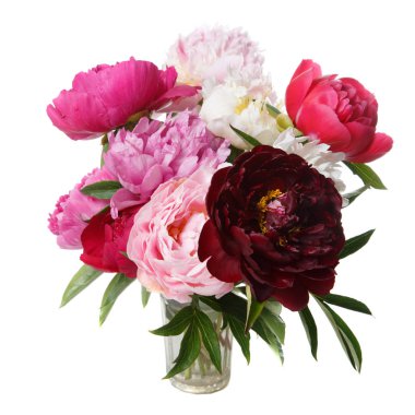 Beyaz arka planda izole şakayık şık bir buket.