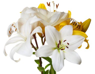 Beyaz arka planda izole edilmiş bir buket lilyum.