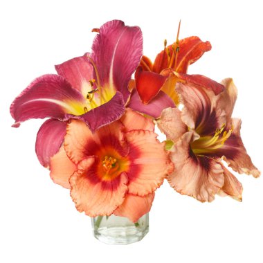 Beyaz arka planda izole edilen çok renkli daylilies buketi.