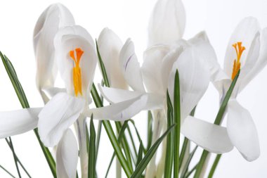 İzole beyaz tabak. yakın çekim  