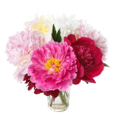 Beyaz arka planda izole şakayık güzel buket.