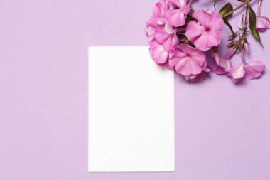 Kağıt beyaz levha ve Phlox çiçeklenme Lila arka planda yatıyor.
