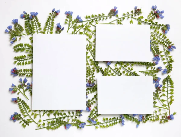 Çiçeklerden yapılmış çiçek çerçevesi Symphytum beyaz bir arka planda desen koydu.