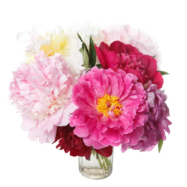 Beyaz arka planda izole şakayık güzel buket.