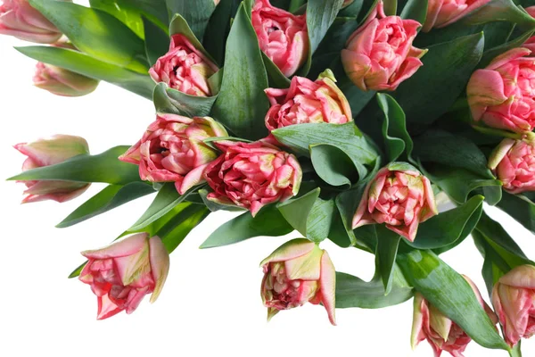 Fragment Eines Straußes Rosa Tulpen Auf Weißem Hintergrund — Stockfoto