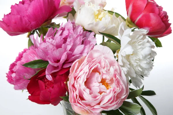 Fragment of a bouquet of peonies isolated on white background.