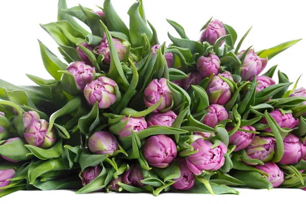 Armful Pink Tulips — Stock Photo, Image