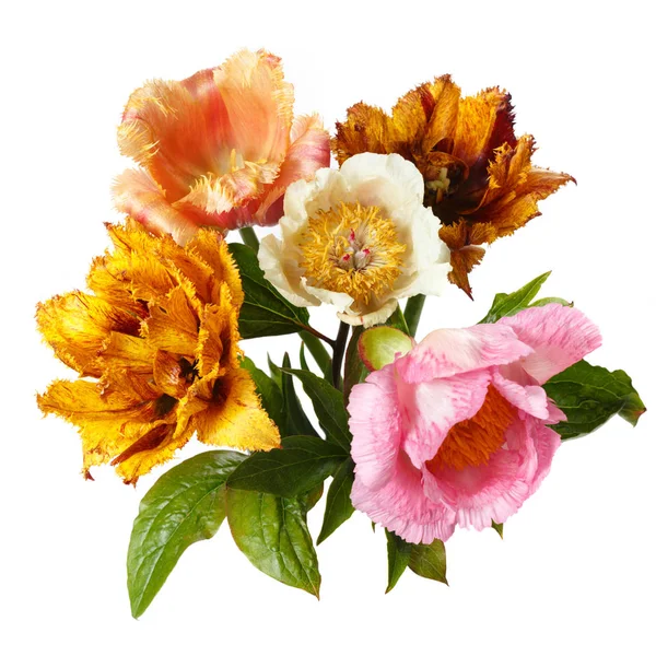 Bouquet of multicolored garden flowers isolated on white background.