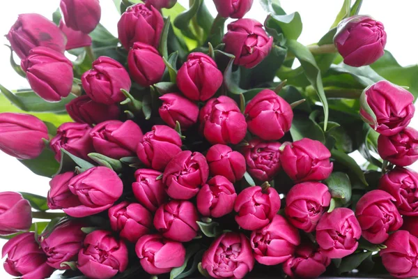 Large Bouquet Pink Tulips Isolated White Background — Stock Photo, Image