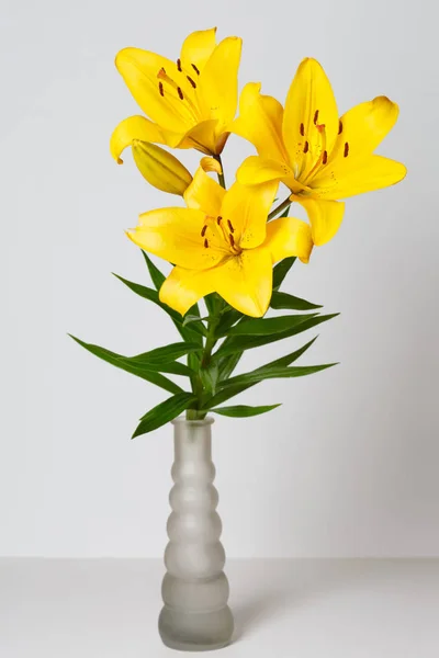 Ein Strauß Gelber Lilien Isoliert Auf Grauem Hintergrund — Stockfoto