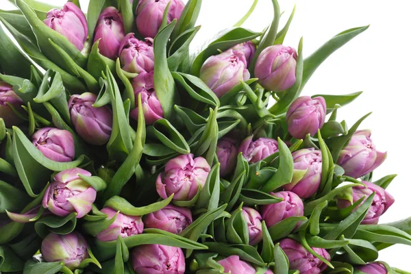 Armful Pink Tulips — Stock Photo, Image