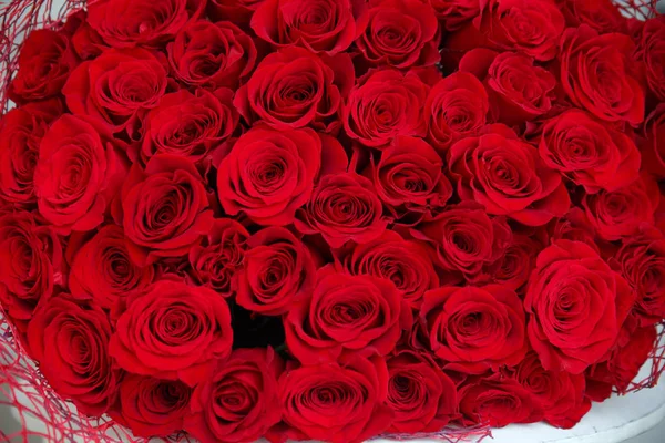 Fondo Pantalla Floral Rosas Rojas —  Fotos de Stock