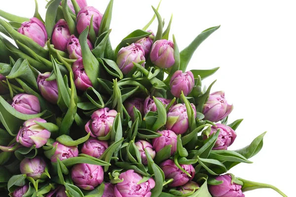 Eine Armvoll Rosa Tulpen — Stockfoto