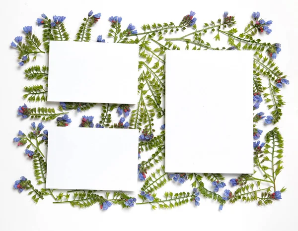 Bloemen Frame Gemaakt Van Bloemen Symphytum Opgemaakt Patroon Een Witte — Stockfoto