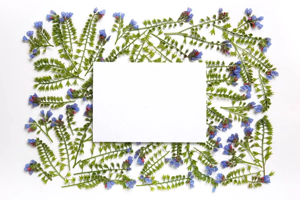 Bloemen Frame Gemaakt Van Bloemen Symphytum Opgemaakt Patroon Een Witte — Stockfoto