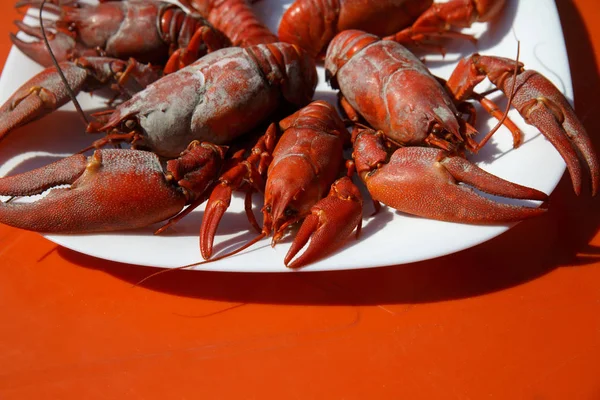Boiled Crayfish Plate Natural Product — Stock Photo, Image