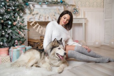 Evcil köpeğiyle Noel ağacının altında güzel bir kız.