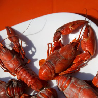 Bir tabakta haşlanmış kerevit, doğal ürün.