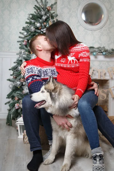 快乐的家庭 穿着舒适的毛衣和他们的宠物哈士奇在圣诞树下 — 图库照片