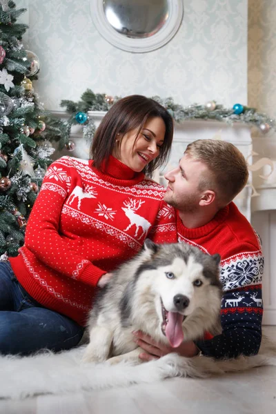 Boldog Család Kényelmes Pulóverben Karácsonyfa Alatt Háziállat Husky — Stock Fotó