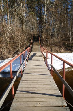 Parkta bir sonbahar günü korkuluklu merdivenler ve borda yürüyüşü..