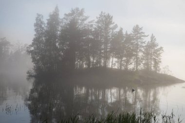 Göldeki sisli sabah manzarası, Valaam Adası, Karelia, Rusya.
