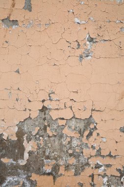 Eskimiş doku çatlak boyalı alçı..