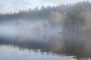 Göldeki sisli sabah manzarası, Valaam Adası, Karelia, Rusya.