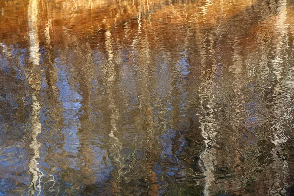 Papier Peint Naturel Reflet Des Arbres Dans Eau — Photo