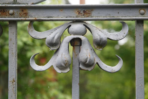 Fragment Old Forged Lattice Form Irises Valaam Karelia Russia — Stock Photo, Image