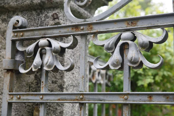 Fragment Eines Alten Geschmiedeten Gitters Form Von Schwertlilien Valaam Karelien — Stockfoto