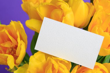 Mor arka plandaki sarı lale buketinde boş bir form, makro..