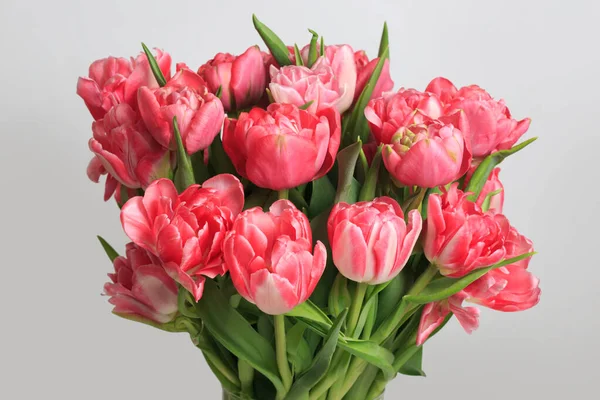 Strauß Rosa Tulpen Isoliert Auf Grauem Hintergrund — Stockfoto