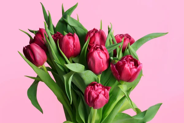 Strauss Aus Violetten Tulpen Isoliert Auf Rosa Hintergrund — Stockfoto