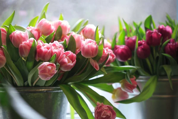 Розовые Тюльпаны Витрине Цветочного Магазина — стоковое фото