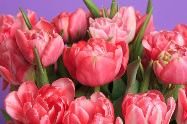 Floral Wallpaper Fragment Bouquet Coral Tulips Macro — Stock Photo, Image