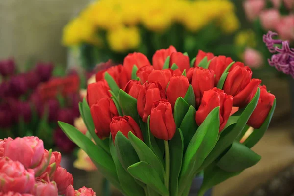 Multi-colored tulips in the window of a flower shop.