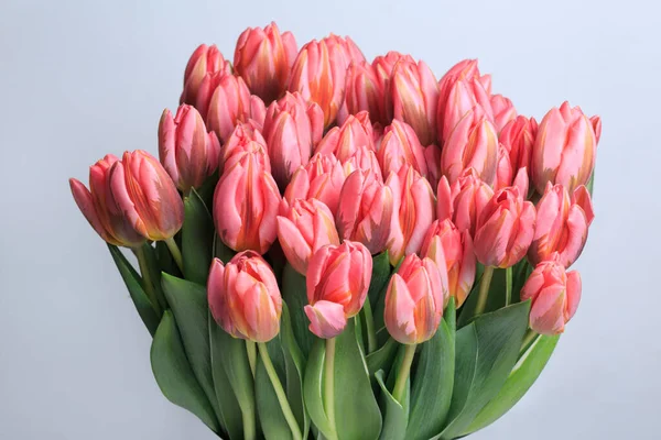 Strauß Ungewöhnlichen Rosa Mit Flecken Von Tulpen Isoliert Auf Grauem — Stockfoto