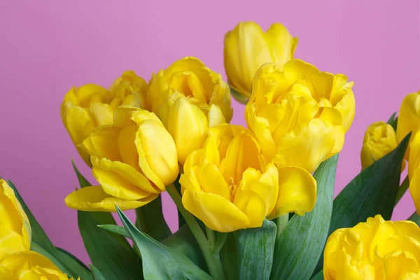 Strauß Gelber Tulpen Auf Rosa Hintergrund — Stockfoto