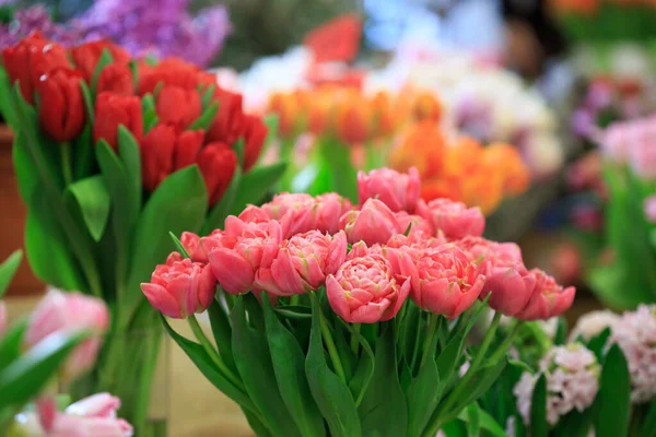 Bir çiçekçinin vitrininde çok renkli laleler.