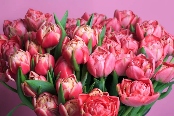 Blumentapete Ein Strauß Frühlingshafter Rosa Tulpen — Stockfoto