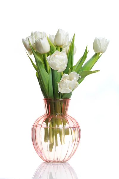 Kytice Jemných Tulipánů Skleněné Váze Izolované Bílém Pozadí — Stock fotografie