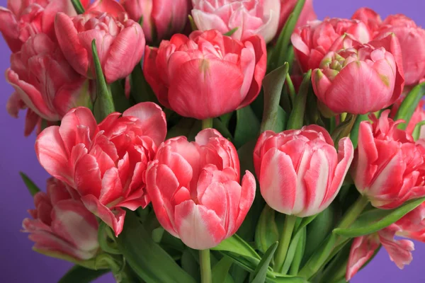 Floral Wallpaper Fragment Bouquet Coral Tulips Macro — Stock Photo, Image